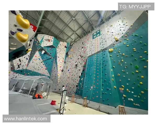 攀岩深度探秘：上海攀岩队如何掌握节奏与技巧的完美结合